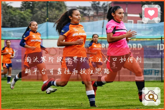 淘汰赛阶段世界杯下注入口如何判断平台可靠性和投注思路