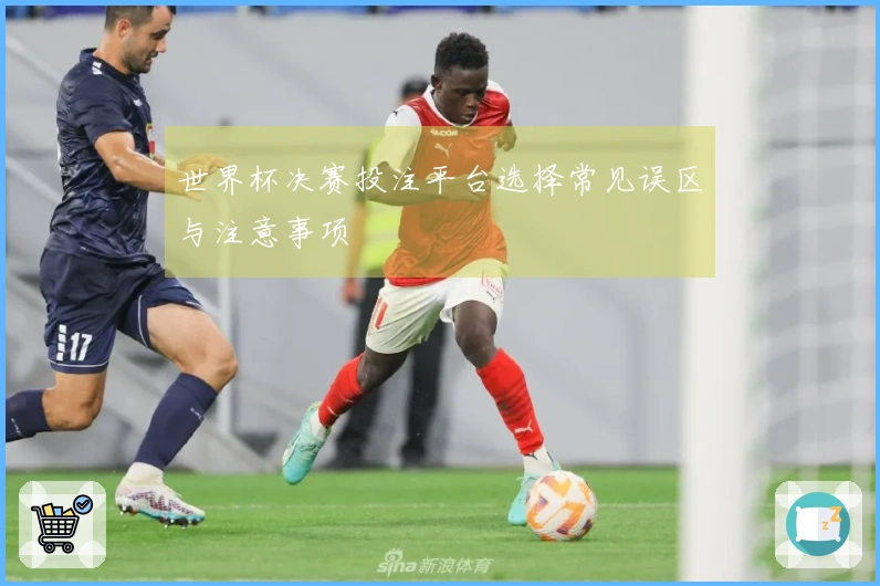 世界杯决赛投注平台选择常见误区与注意事项